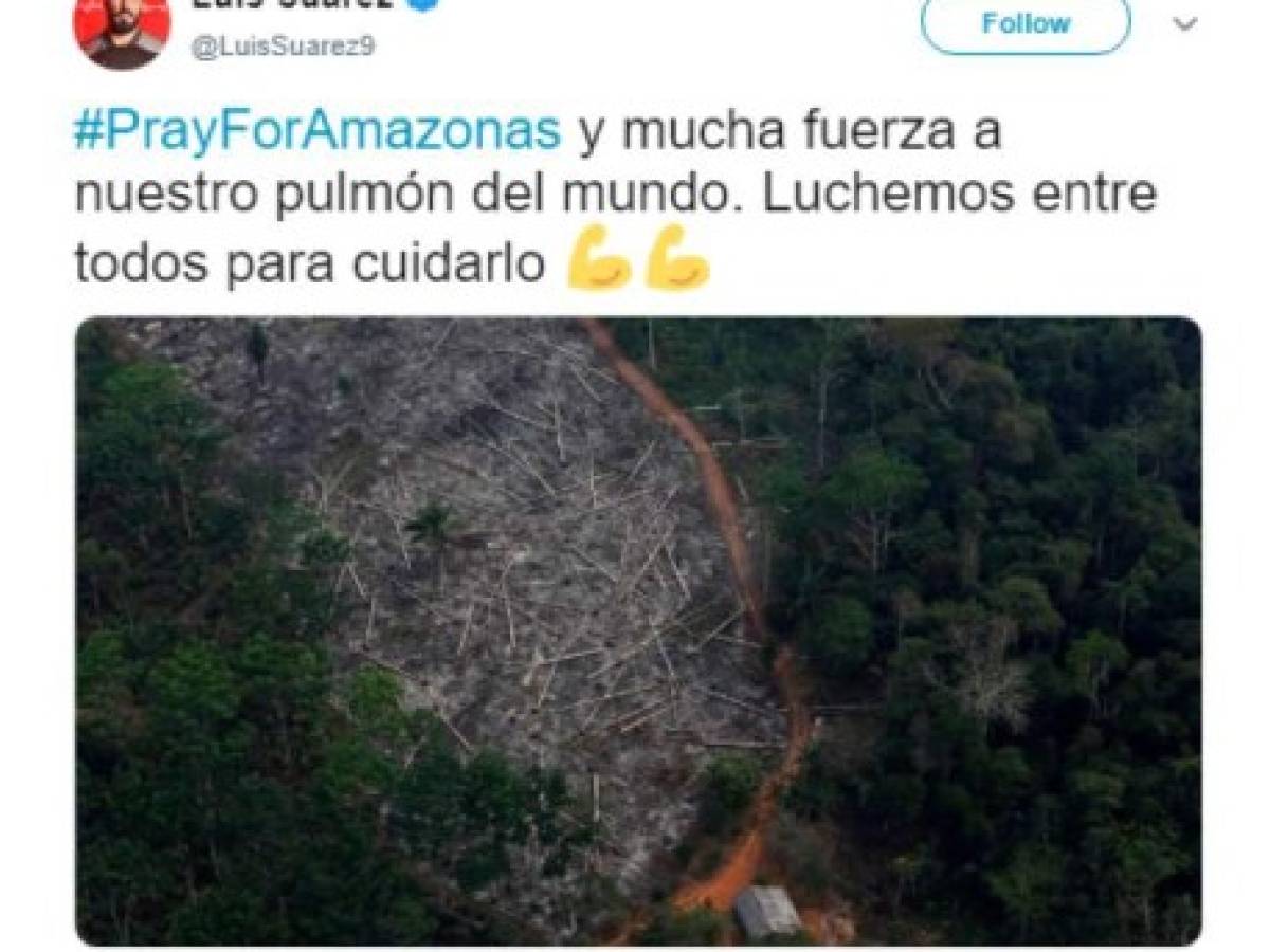 El jugador de fútbol uruguayo del FC Barcelona Luis Suárez compartió a su vez una foto del Bosque Nacional de Bom Futuro en Porto Velho, en el estado de Rondonia, tomada por el reportero gráfico de Reuters Nacho Doce en 2015.