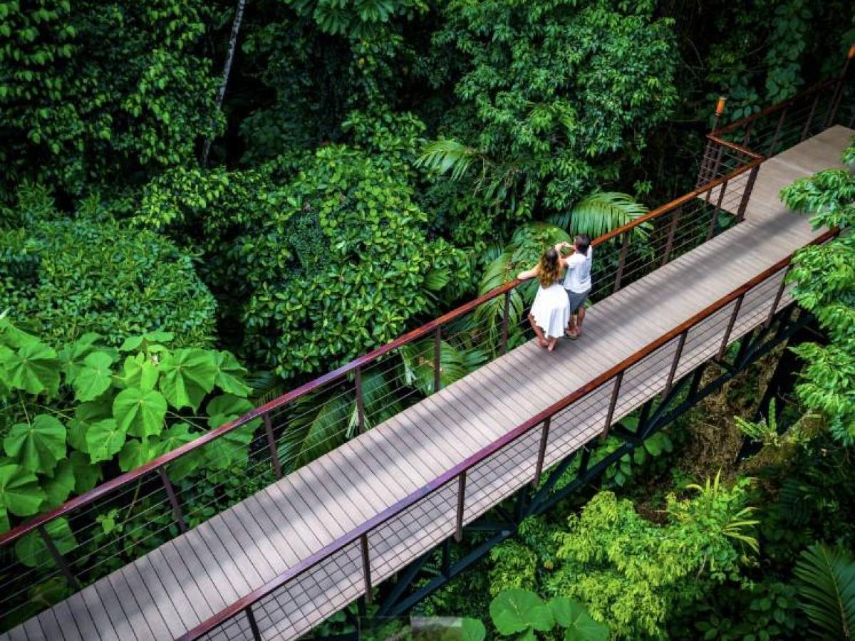 Hoteles de Costa Rica enfocados en disminuir su huella de carbono