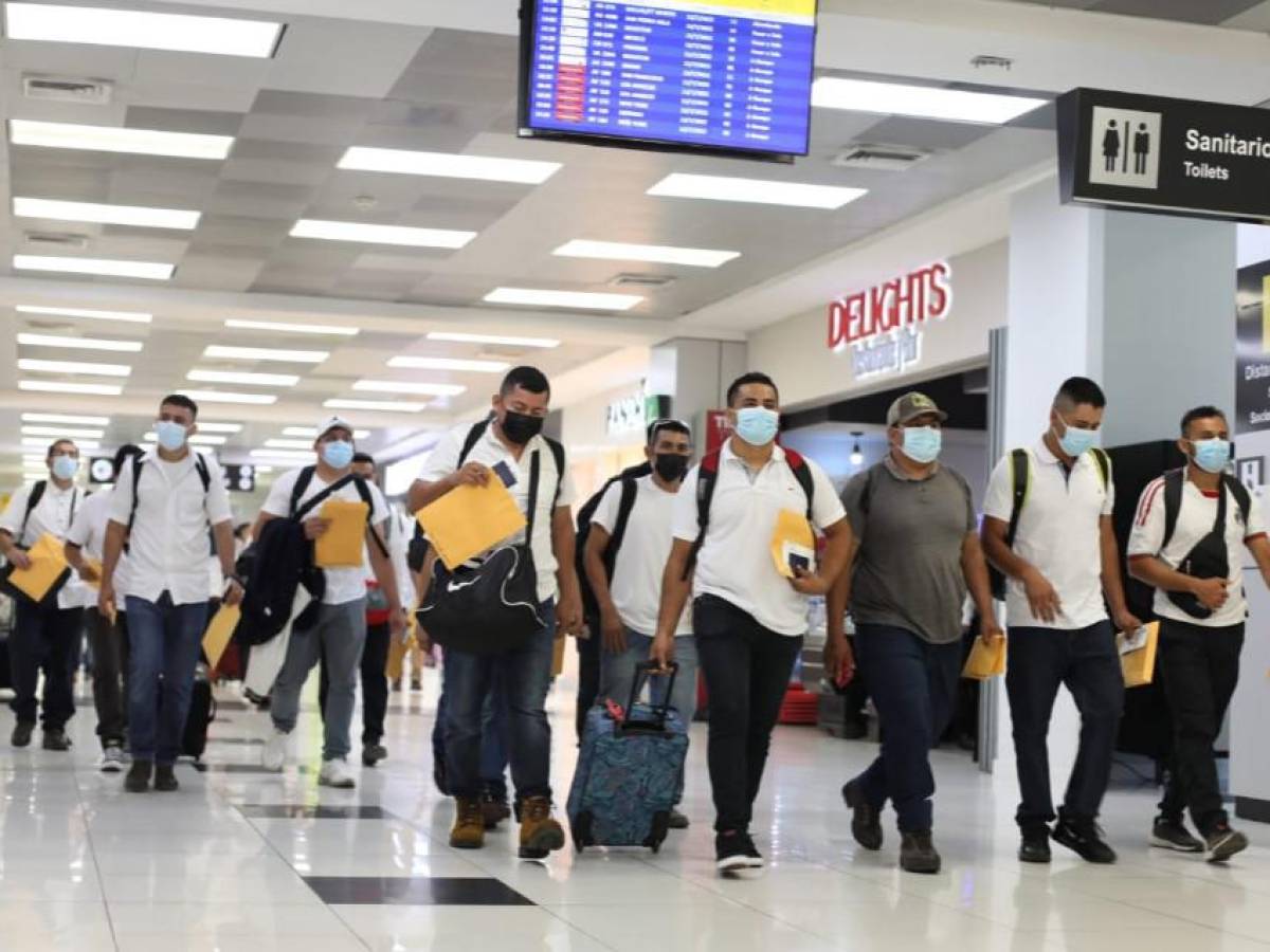 Más de 40.000 salvadoreños han aplicado a visas de empleo temporal desde 2019