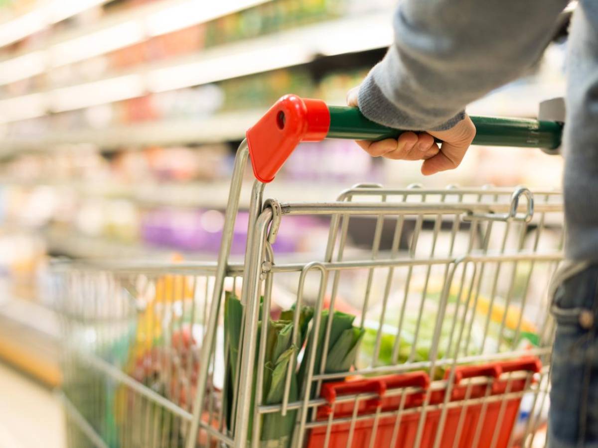 Cereales y aceites vegetales reducen precios de alimentos en mayo, según FAO
