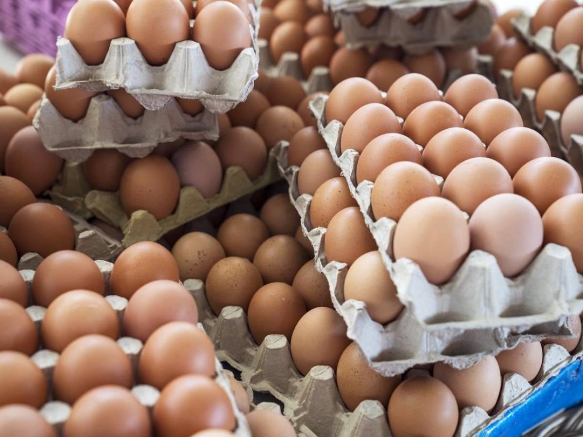 ¿Qué hay detrás del contrabando de huevos en EEUU?