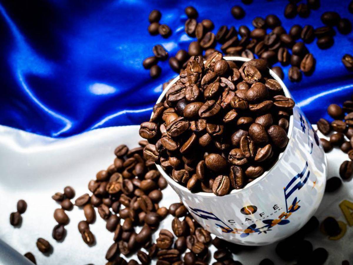 El café de El Salvador está en su mejor precio de las últimas tres décadas