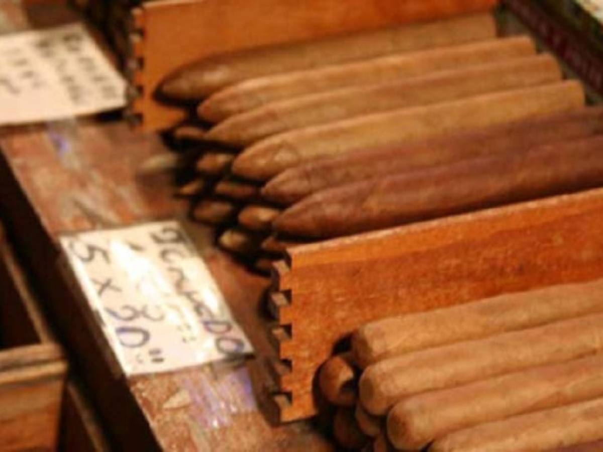 Industria del tabaco dinamiza la economía en el norte de Nicaragua