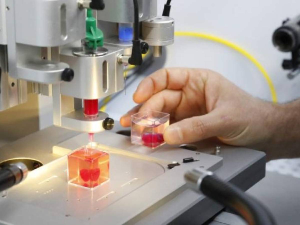 This photo taken on April 15, 2019 at the University of Tel Aviv shows a 3D print of heart with human tissue. - Scientists in Israel on Monday unveiled a 3D print of a heart with human tissue and vessels, calling it a first and a 'major medical breakthrough' that advances possibilities for transplants. (Photo by JACK GUEZ / AFP)