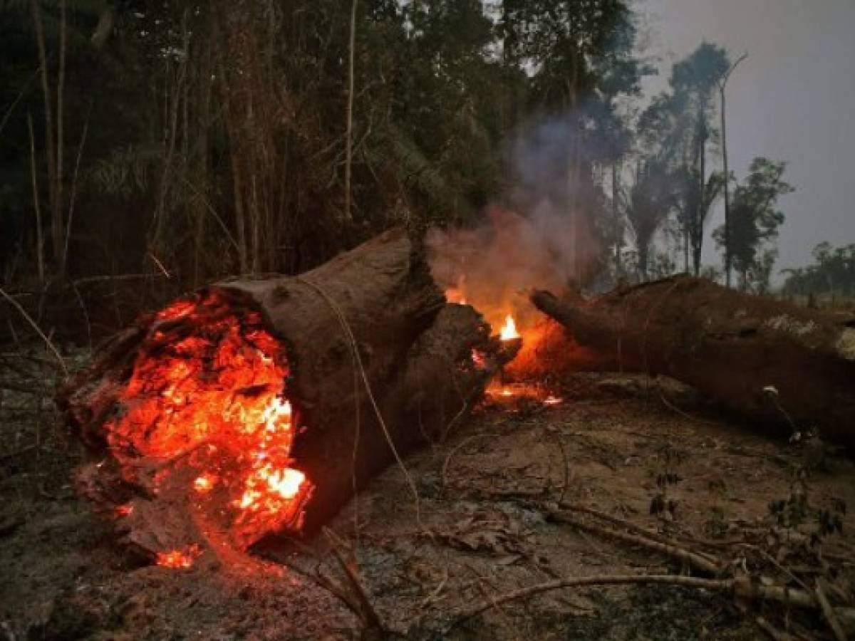 El mundo exige salvar la Amazonía, 'pulmón del planeta'