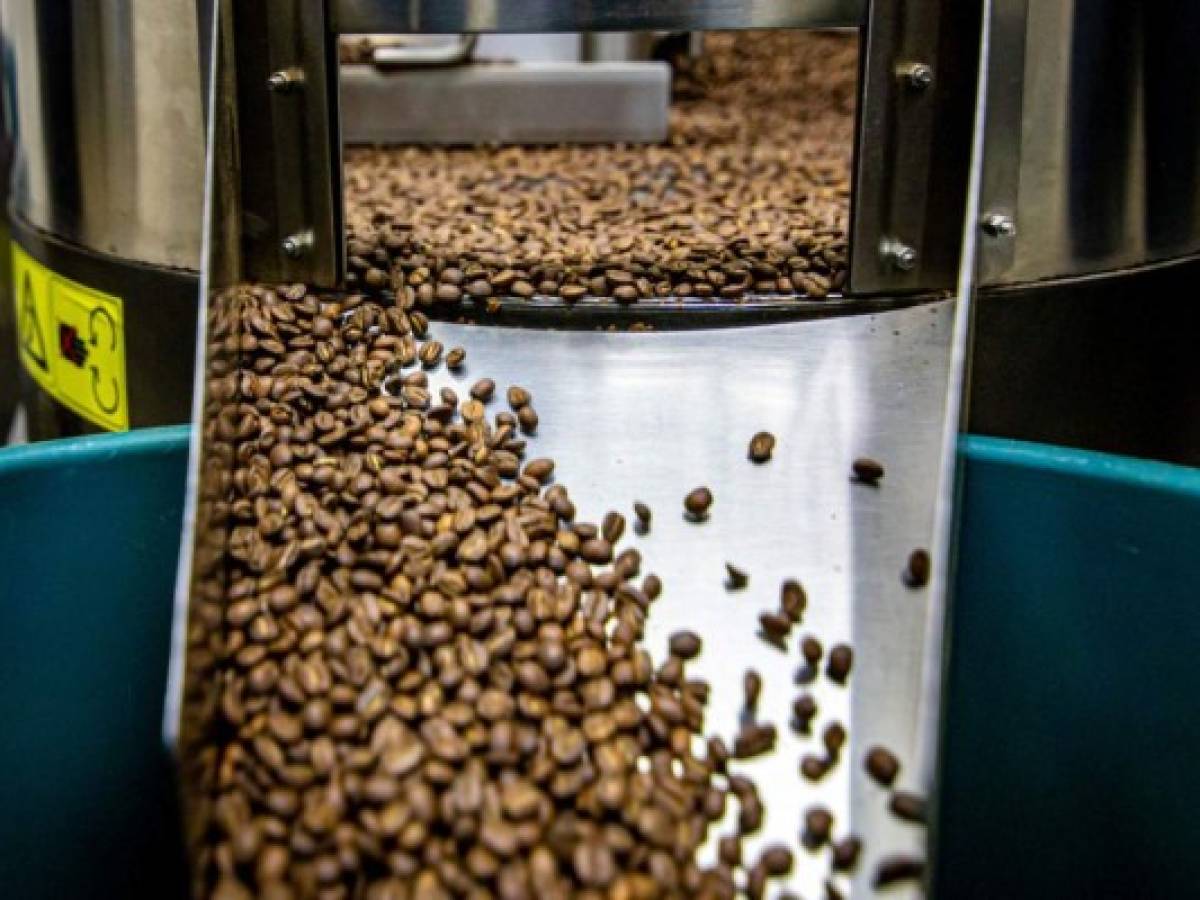 Aumentan 7% las exportaciones de café de Honduras