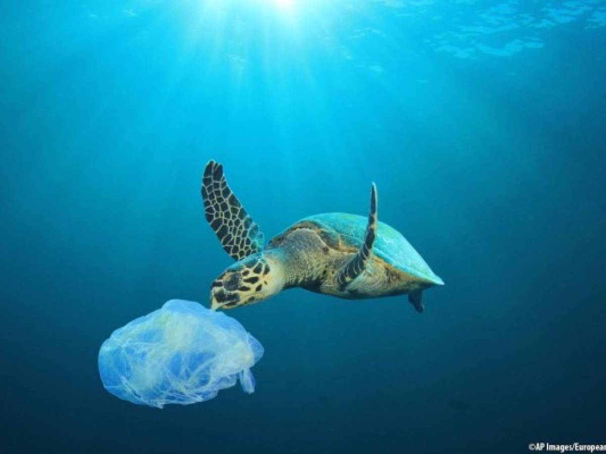 El 80 % de la basura del mar proviene de productos plásticos como bolsas y botellas