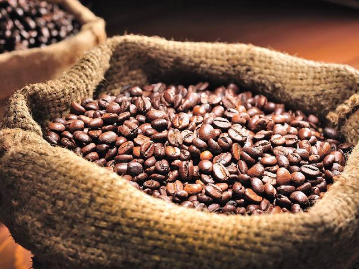 Valor de exportaciones de café salvadoreño fue el más alto desde 2013