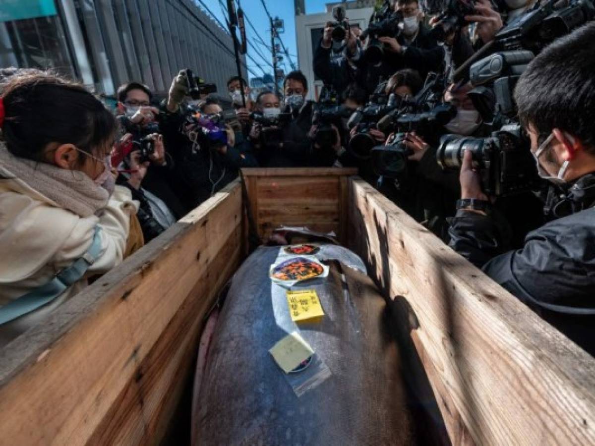 Tradicional subasta de atún japonés es opacada por tercera ocasión por la pandemia