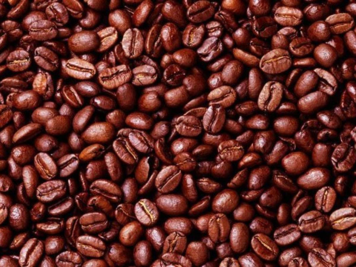 Calentamiento global pone en peligro producción de café AL