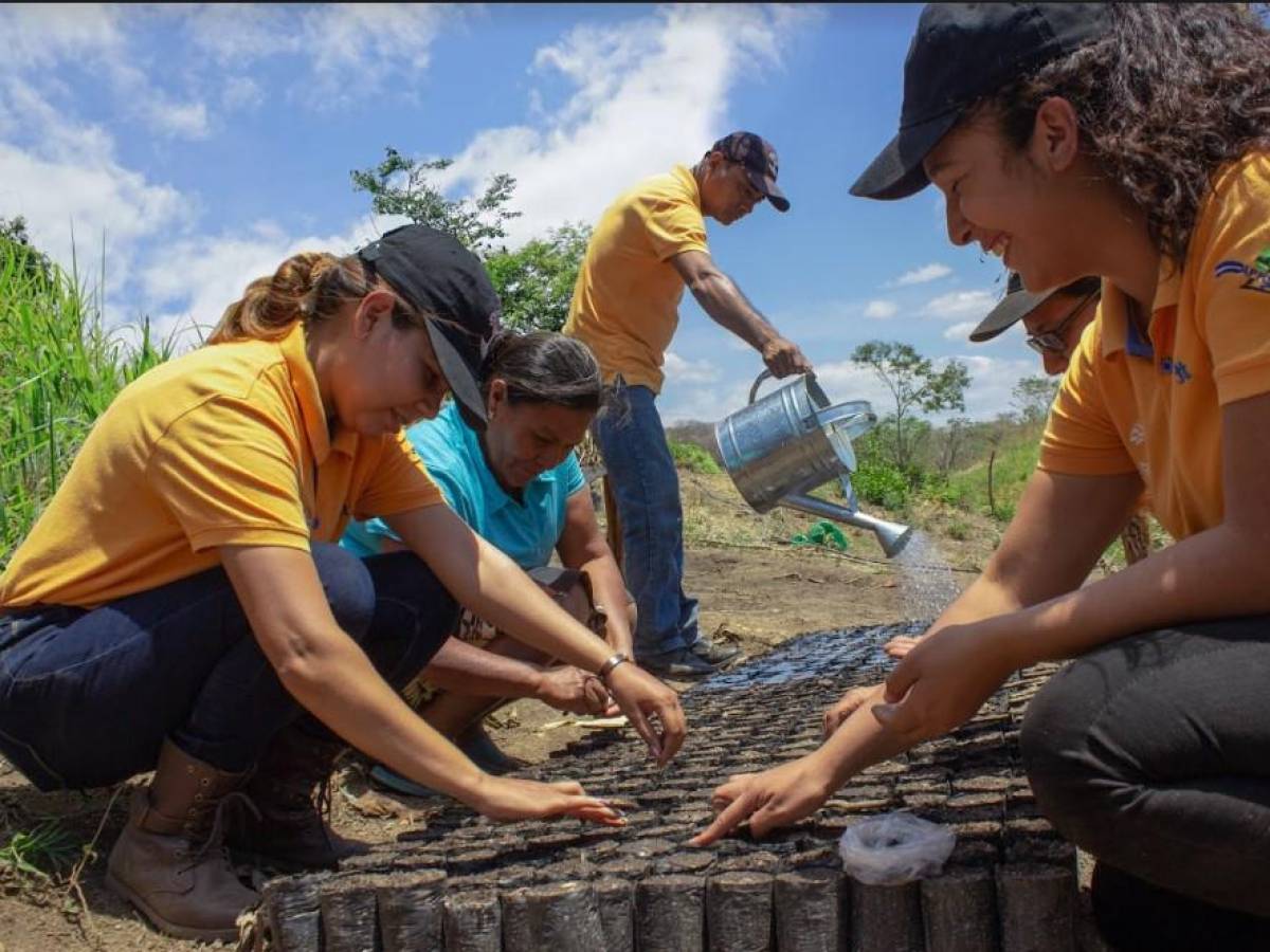 Crece exitoso programa de reforestación en Nicaragua
