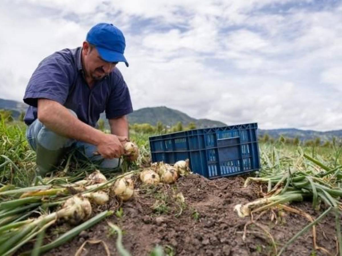 BID Invest invertirá US$10 millones en la industria de agronegocios y alimentos