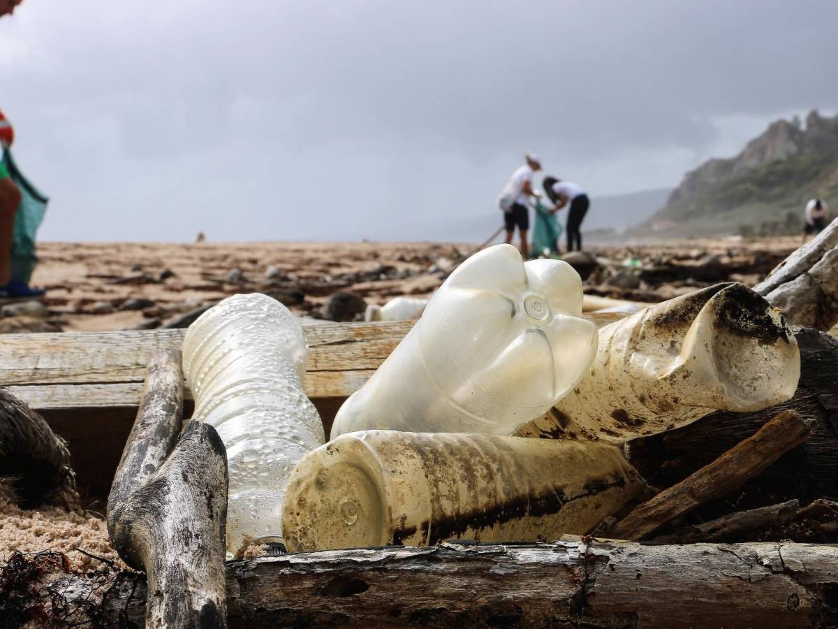 Costa Rica prohíbe bolsas y pajillas plásticas y limita las botellas