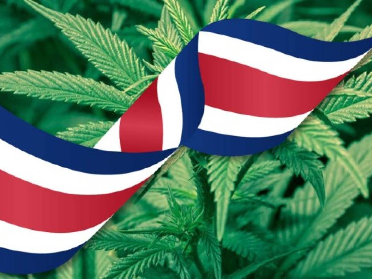 Llega a Costa Rica primer contenedor de productos derivados del cannabis  