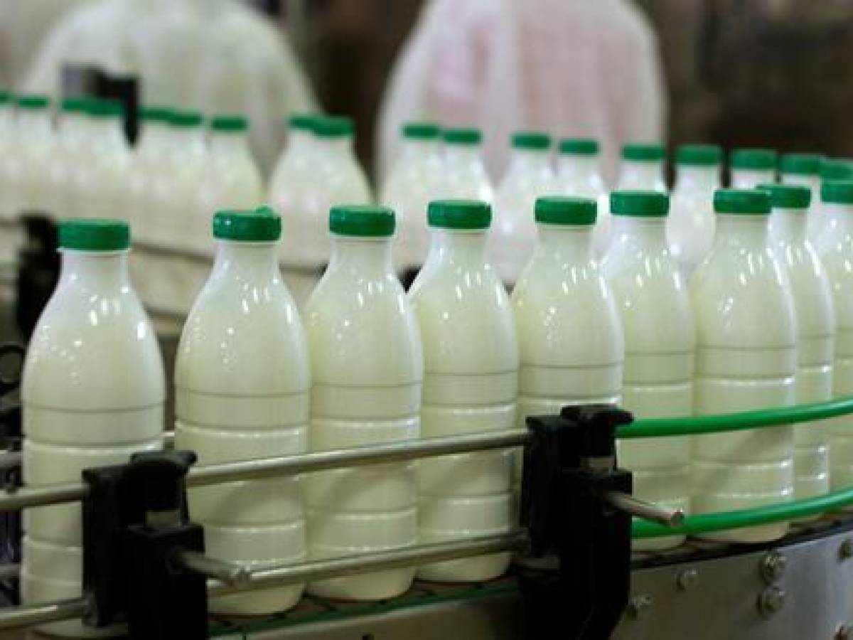 Advierten de un déficit del 30% en la producción de leche en El Salvador