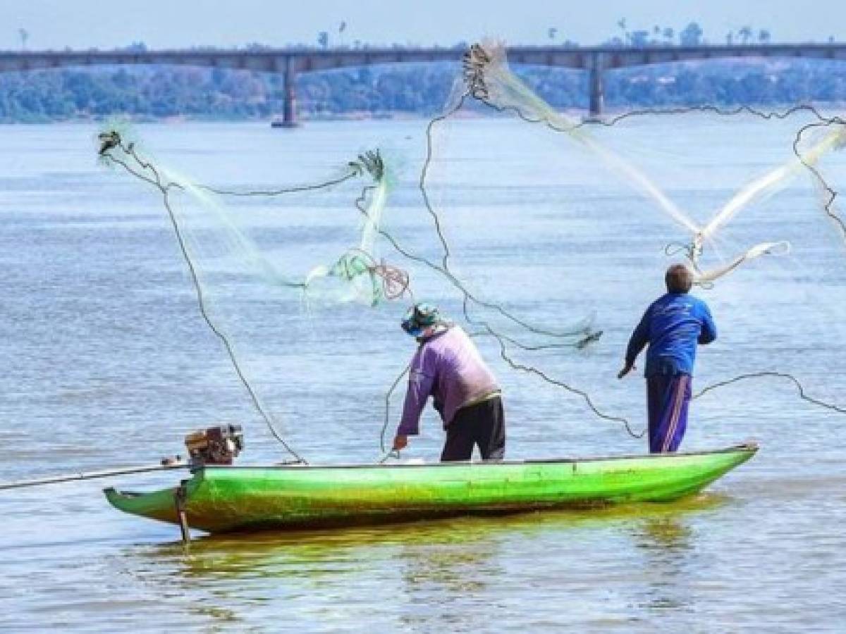 Pesca y acuicultura representan más del 20% del PIB de Centroamérica