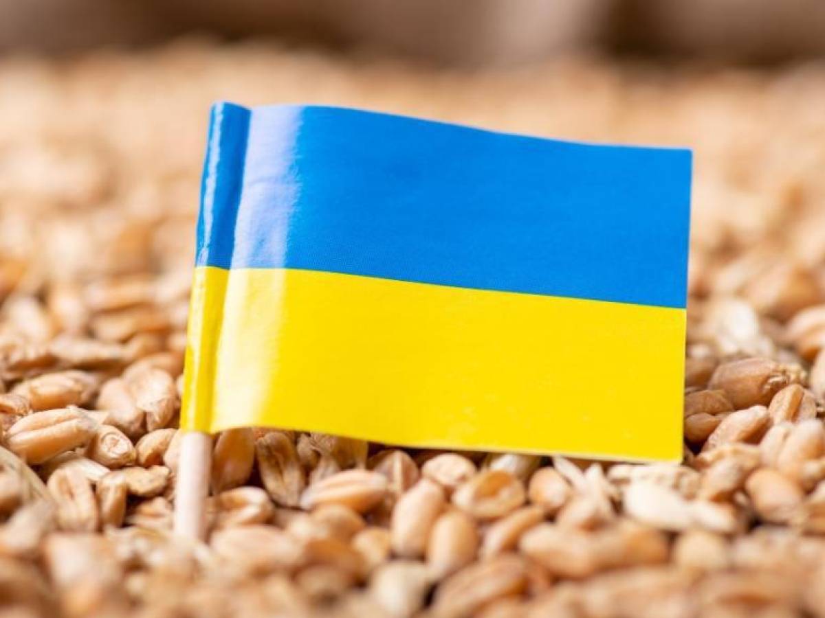 ONU celebra que Ucrania exportó 10 millones de toneladas de cereales
