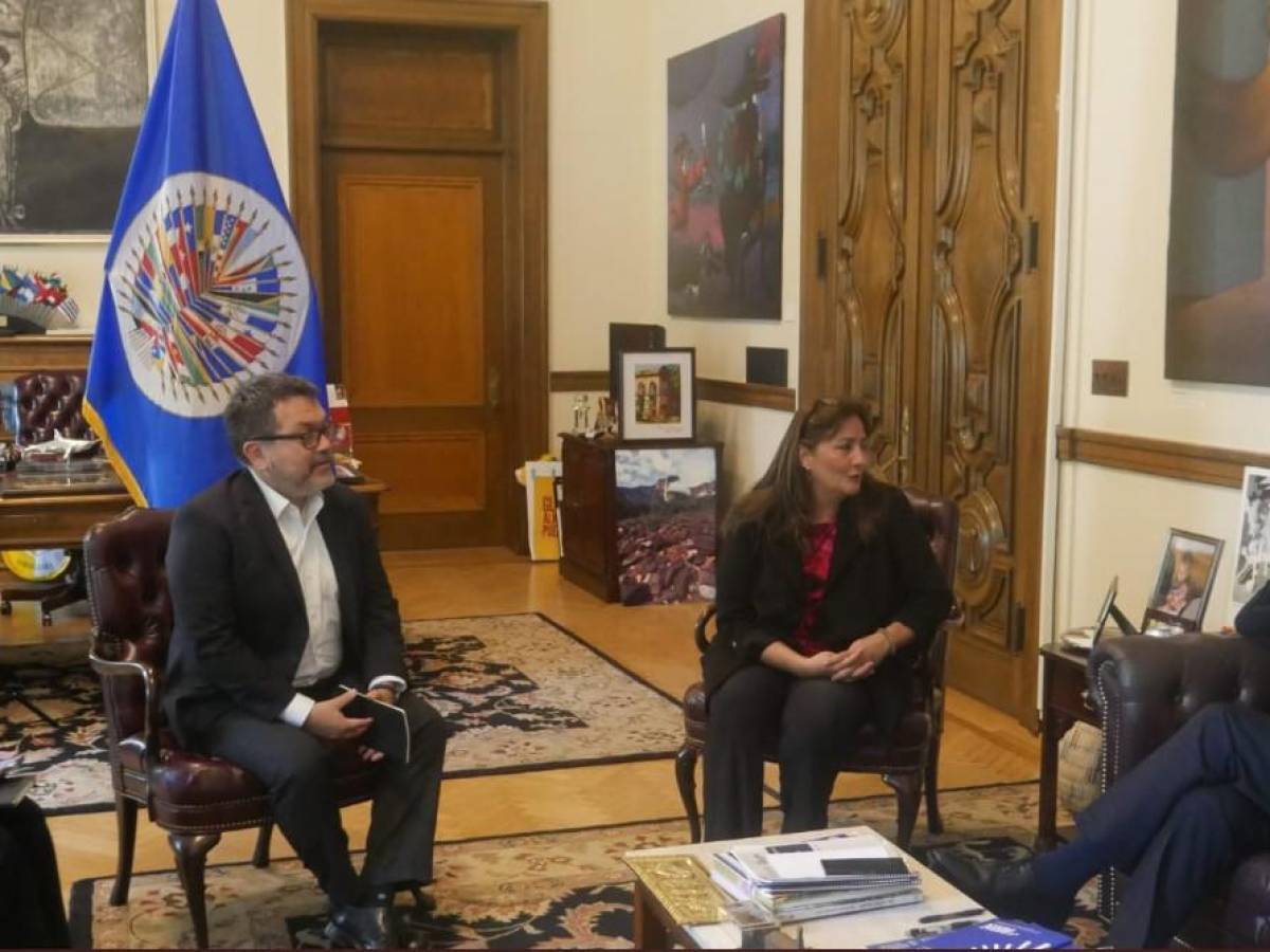 Secretario General de la OEA se reúne con independientes de la ONU para investigar violaciones de DDHH en Nicaragua