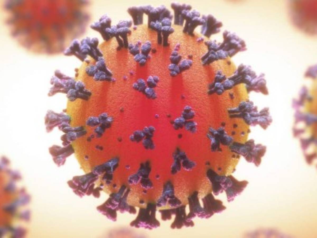 La Universidad de Wuhan: la influenza tipo A vuelve más poderoso al coronavirus