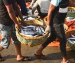 Realizan auditoría para certificar a Costa Rica en pesca sostenible