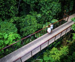 Hoteles de Costa Rica enfocados en disminuir su huella de carbono