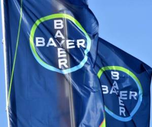 (FILES) In this file photo taken on February 28, 2018 the logo of German chemicals giant Bayer is seen on flags during the company's annual results press conference in Leverkusen. German chemicals and pharmaceuticals giant Bayer will discard the name Monsanto when it takes over the controversial US seeds and pesticides producer, the group said on June 4, 2018. / AFP PHOTO / Patrik STOLLARZ