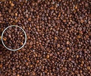 Ingresos por exportación de café hondureño suben 28,6 % en cosecha 2021-2022