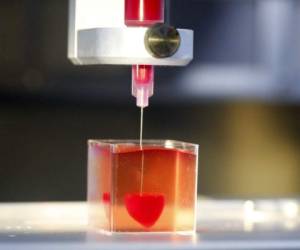 La Universidad de Tel Aviv presentó el prototipo impreso con tecnología 3D con tejidos humanos y vasos sanguíneos, será clave en tratamientos de enfermedades cardiovasculares y trasplantes.
