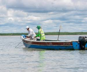 Crean nueva red para acuicultores de Mesoamérica