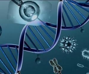 Genética describe 10.000 años de evolución de inmunidad humana