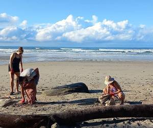 Mayoría de los desechos en playas de Costa Rica son botellas PET, muestra auditoría