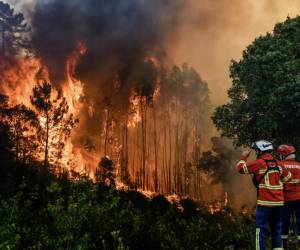 Incendios forestales se duplicaron en todo el mundo en 20 años