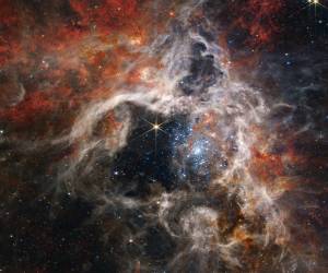 Telescopio Webb captura nuevos detalles de la nebulosa Tarántula