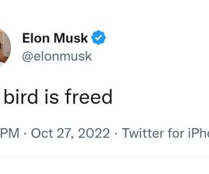 Tuiteros ya ponen a prueba los límites de la red en la era Musk