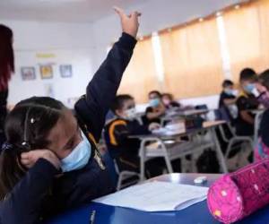 Banco Mundial: Niños de América Latina perdieron 1.8 años de aprendizaje por pandemia