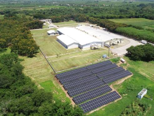 Las plantas de procesamiento avícolas cuentan con paneles solares.