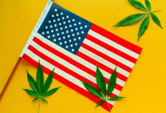 hemp leaves and American flag top view yellow background