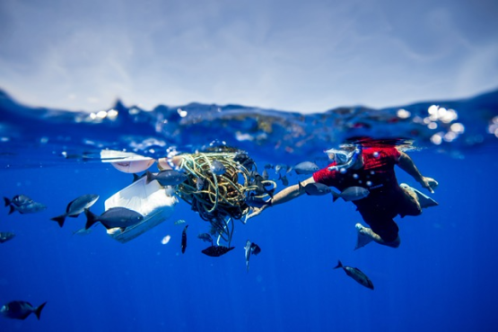 Día de la Tierra: Mala disposición del plástico de un solo uso ahoga al planeta
