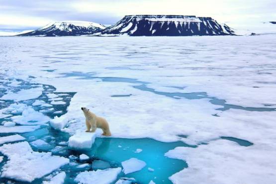 El Ártico empezará a quedarse sin hielo en verano a partir de 2030