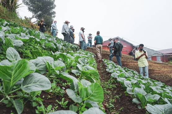 Continúa programa para empoderar a agricultores de Costa Rica y Guatemala