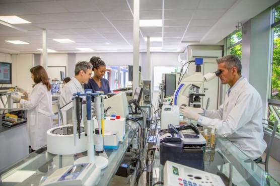 BID Invest presta US$70 millones a Megalabs para producción de medicamentos