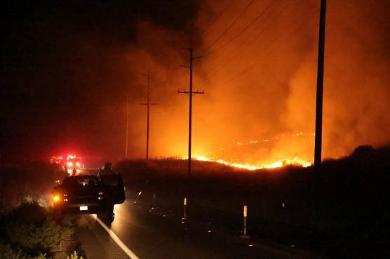 <i>Los bomberos monitorean el Incendio Rabbit mientras arde en Moreno Valley en el condado de Riverside, California, el 14 de julio de 2023. Decenas de millones de estadounidenses enfrentaban temperaturas peligrosamente altas el 14 de julio de 2023 cuando una poderosa ola de calor se extendió desde California hasta Texas, con su pico esperado este fin de semana. FOTO DAVID SWANSON / AFP </i>