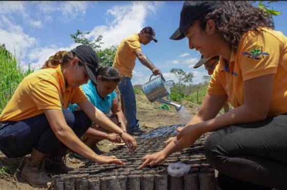 Crece exitoso programa de reforestación en Nicaragua