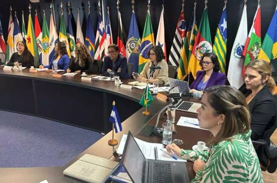 Honduras revisa los acuerdos de cooperación con Brasil