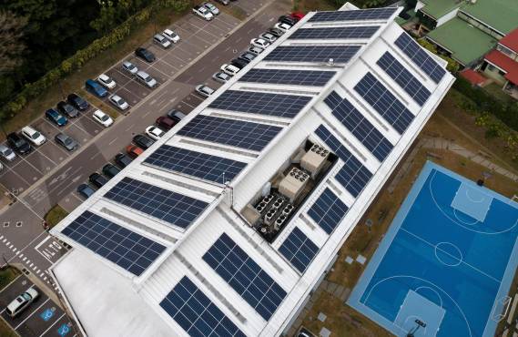 Café Britt instala paneles solares para generar hasta un 80% de su energía eléctrica