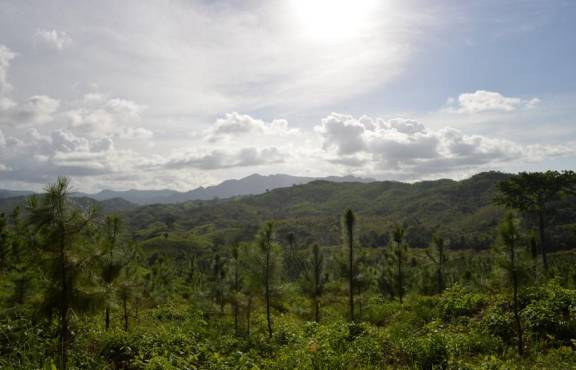 Licores de Guatemala: carbono neutral, una apuesta por Guatemala