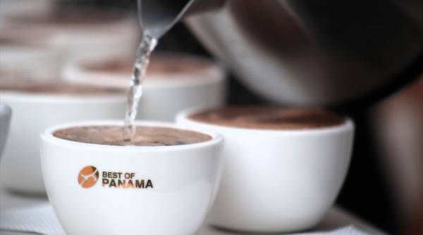 El café Geisha de Panamá supera récords y llega a US$10.005 por kilogramo