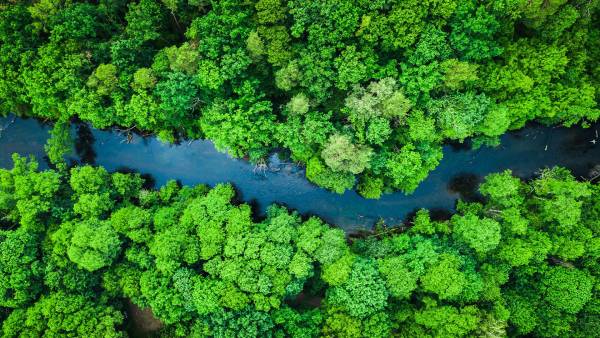 El Salvador explora el potencial de emisiones de Bonos Verdes