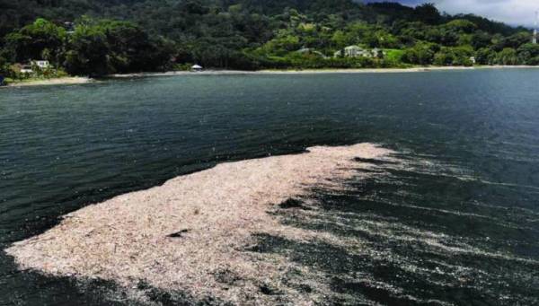 Honduras denunciará a Guatemala en COP27 por contaminación de río Motagua