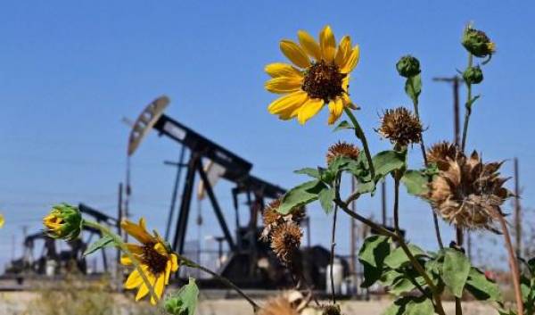 Las flores silvestres florecen cerca de las bombas de aceite a lo largo de una sección de la Carretera 33 conocida como la Carretera del Petróleo al norte de McKittrick en el condado de Kern, California, el 28 de septiembre de 2022. FOTO FREDERIC J. BROWN / AFP